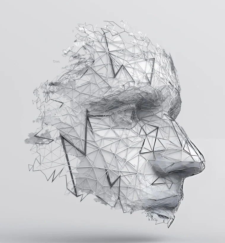 Nile Web Design Dubai Professional #1 Best Web Design Company in Dubai