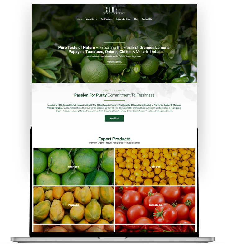 Real Estate Website Design